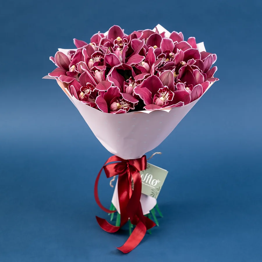 Букет из 25 красных орхидей Цимбидиум (02495)