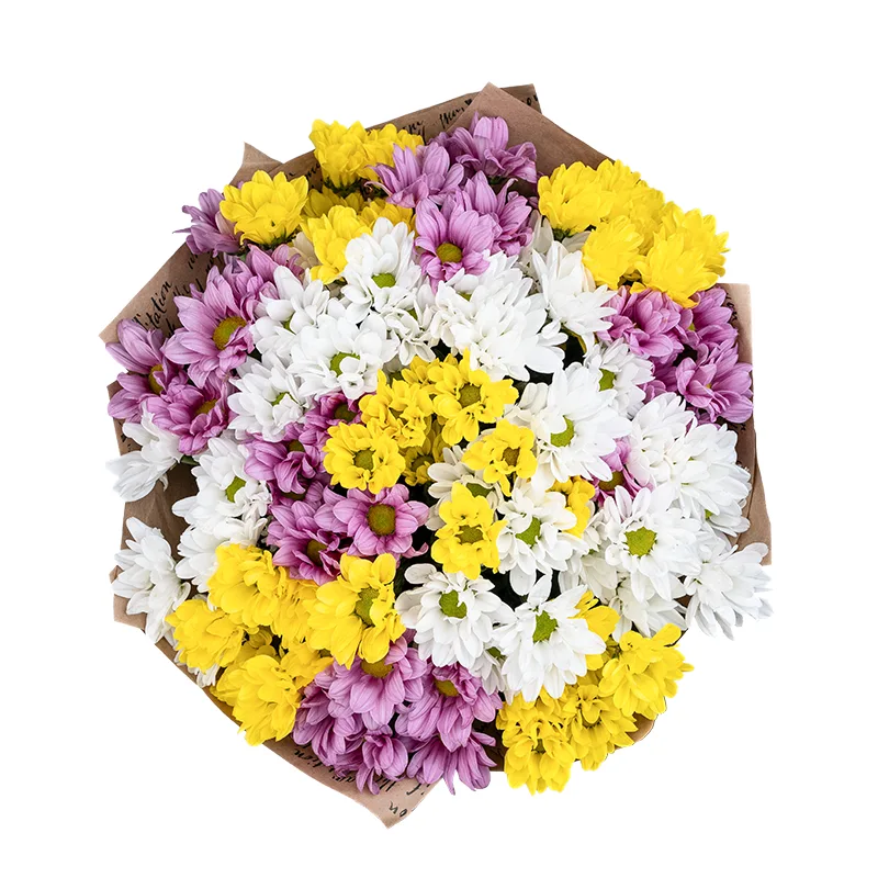 Букет из 15 розовых, белых и жёлтых кустовых хризантем (01809)