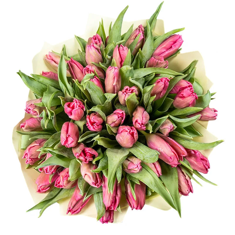 Букет из 43 розовых попугайных тюльпанов Марвел Пэррот (02057)