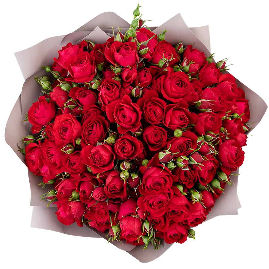 Букет из 15 ярко-красных кустовых пионовидных роз Скарлет Дименшн (02758)