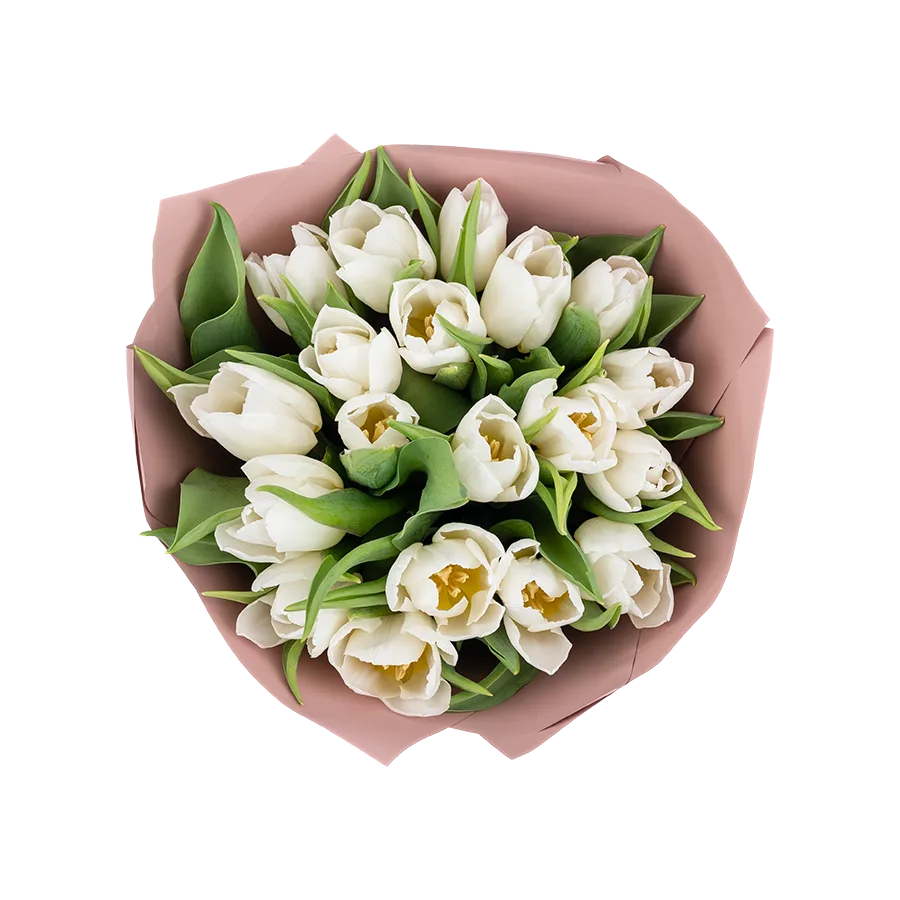 Букет из 19 белых тюльпанов (01909)