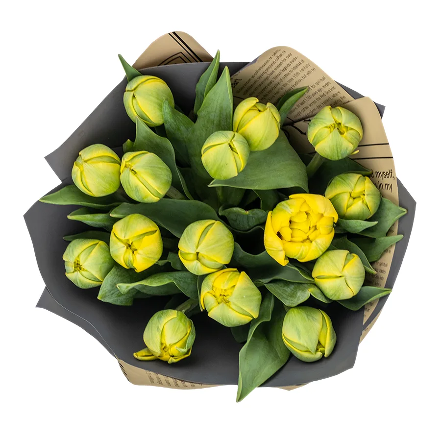Букет из 15 желтых махровых тюльпанов Йелоу Помпонет (02449)