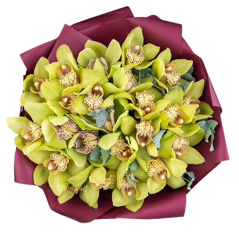 Букет из 23 зелёных орхидей Цимбидиум (01837)