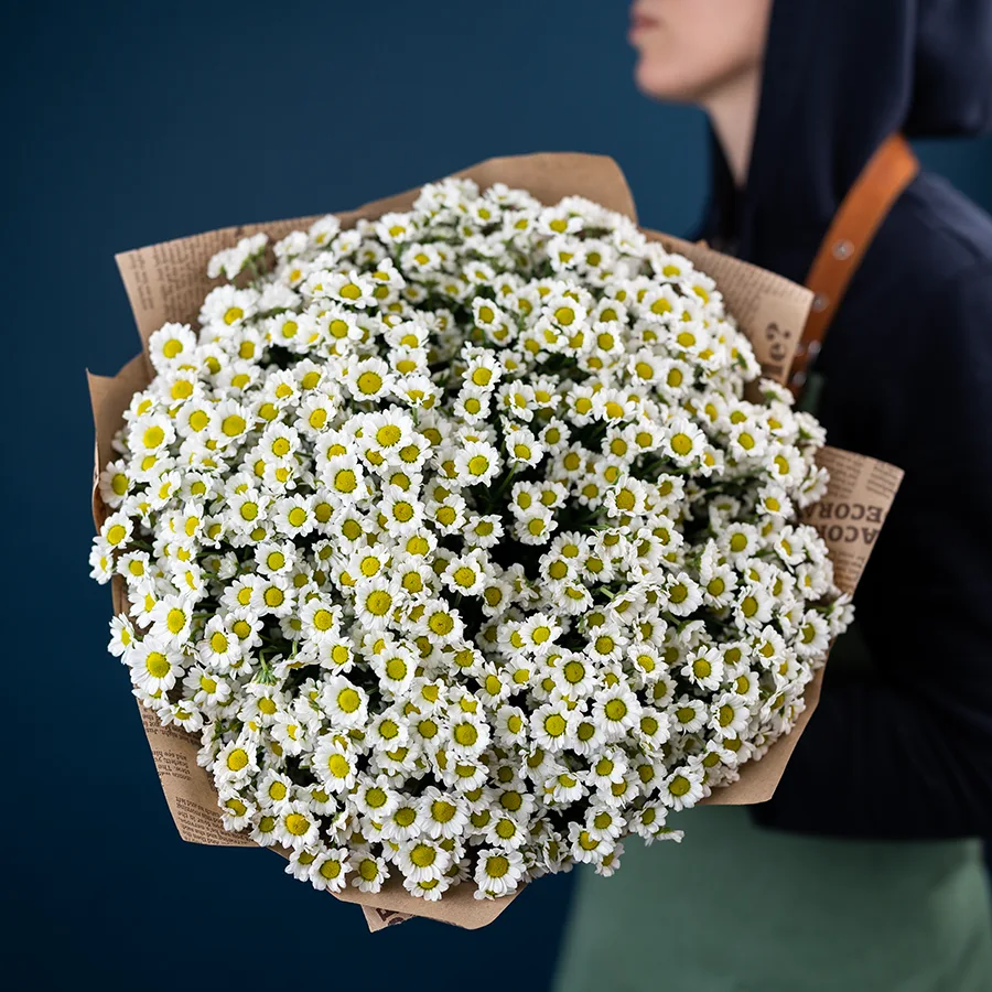 Букет из 25 белых кустовых хризантем Сантини Мадиба Линди Вайт (02814)