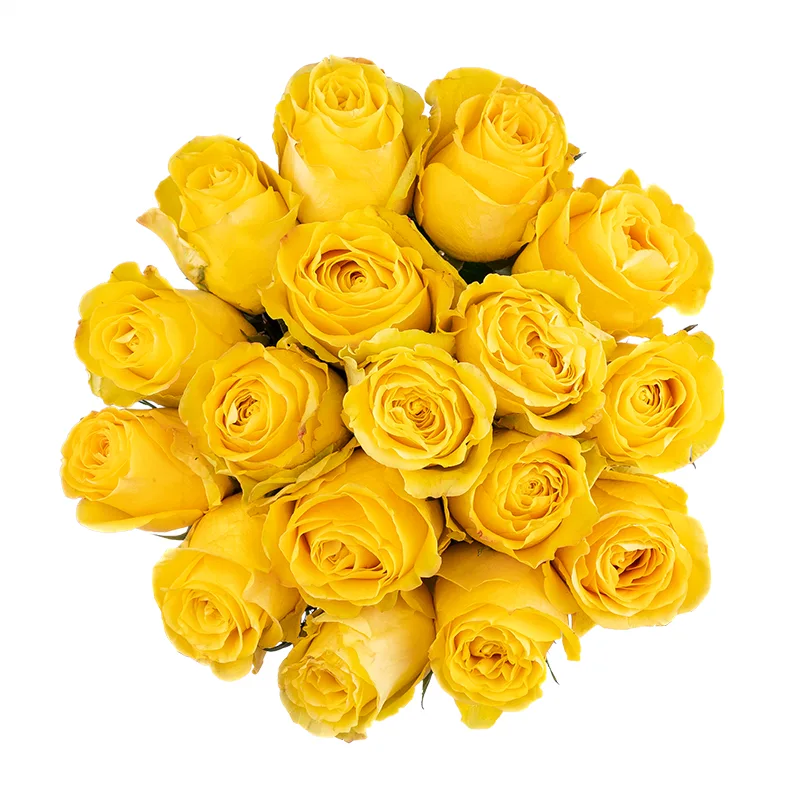 Букет из 17 жёлтых роз Брайтон (01819)