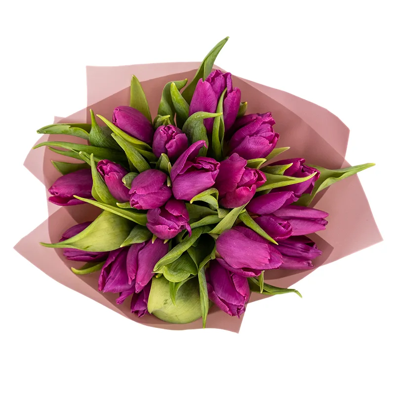 Букет из 19 фиолетовых тюльпанов (01927)