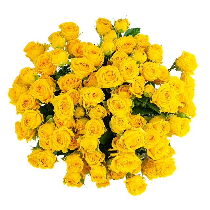 Букет из 19 жёлтых кустовых роз Йелоу Бейб (01497)