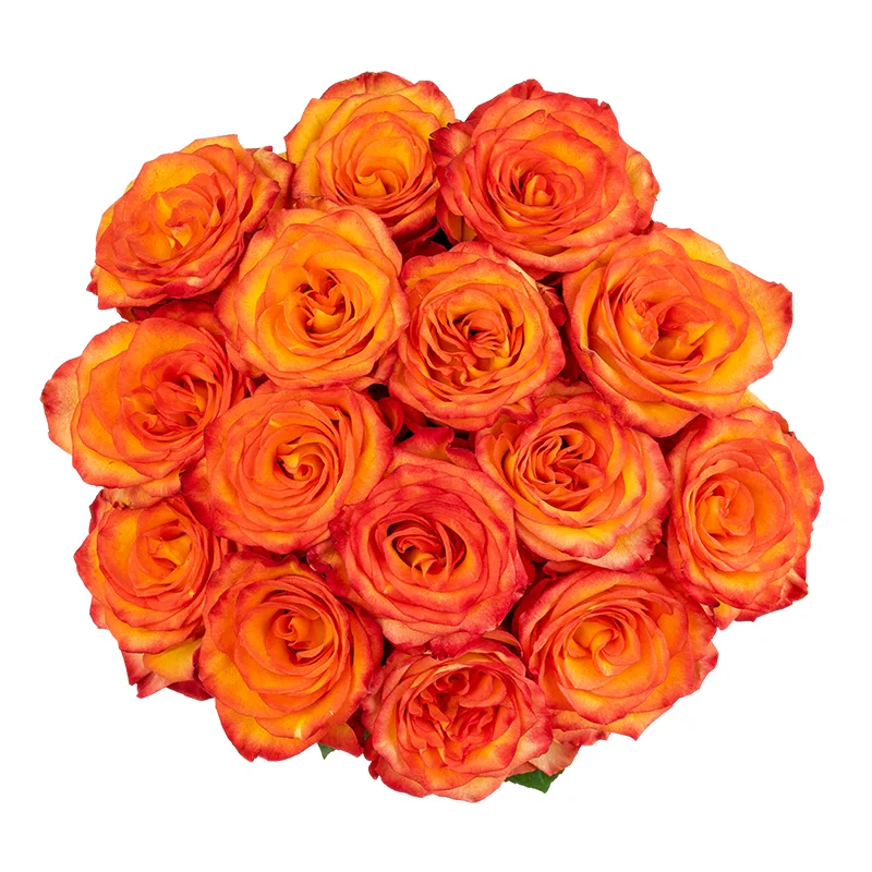 Букет из 15 оранжево-красных роз Хай Мэйджик (01612)