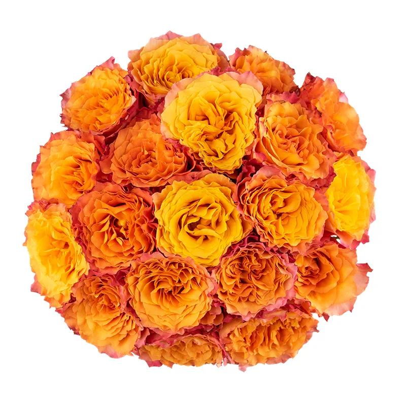 Букет из 19 оранжево-коралловых пионовидных роз Фри Спайрит (01590)