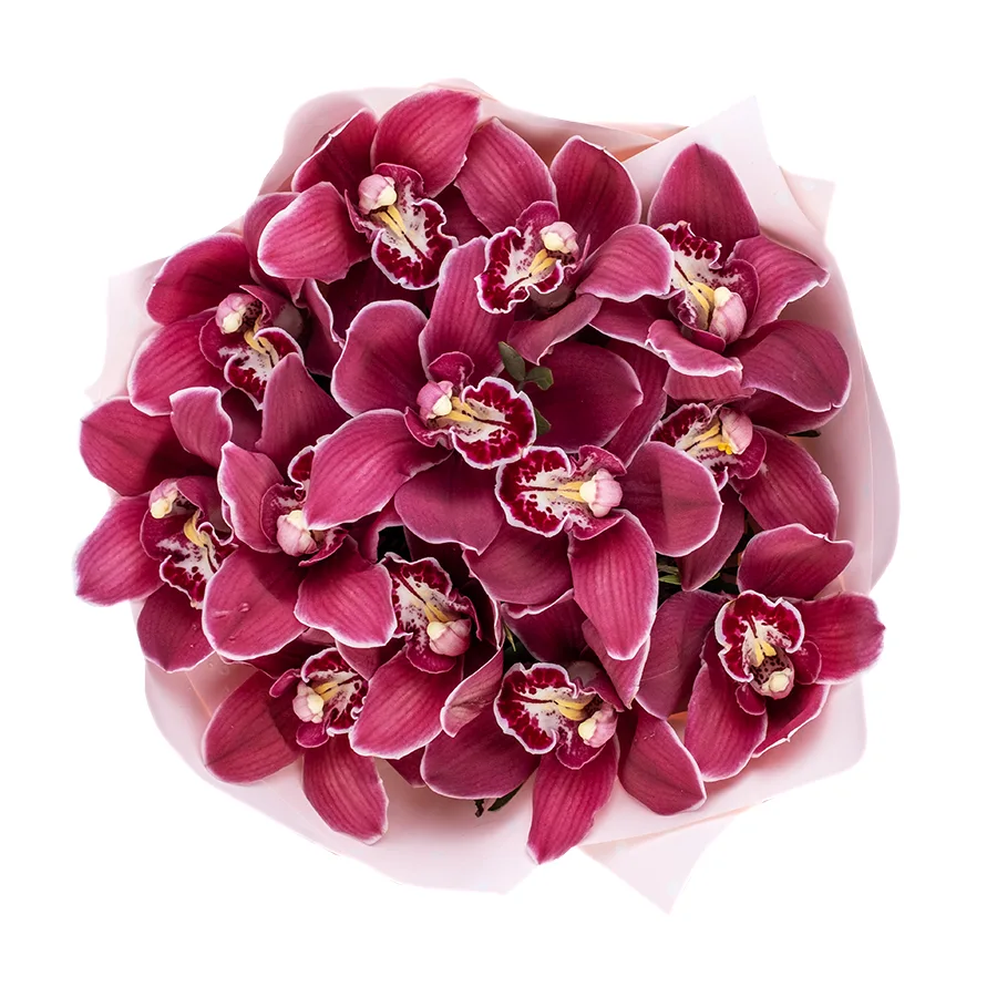 Букет из 13 красных орхидей Цимбидиум (02501)