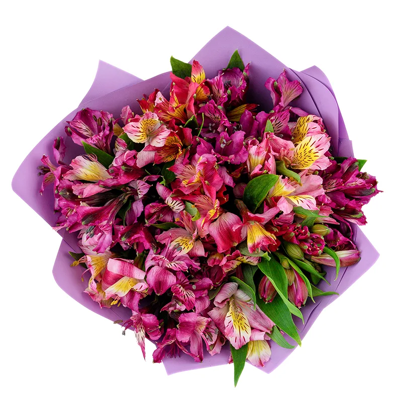Букет из 17 фиолетовых, малиновых и розовых альстромерий (01456)