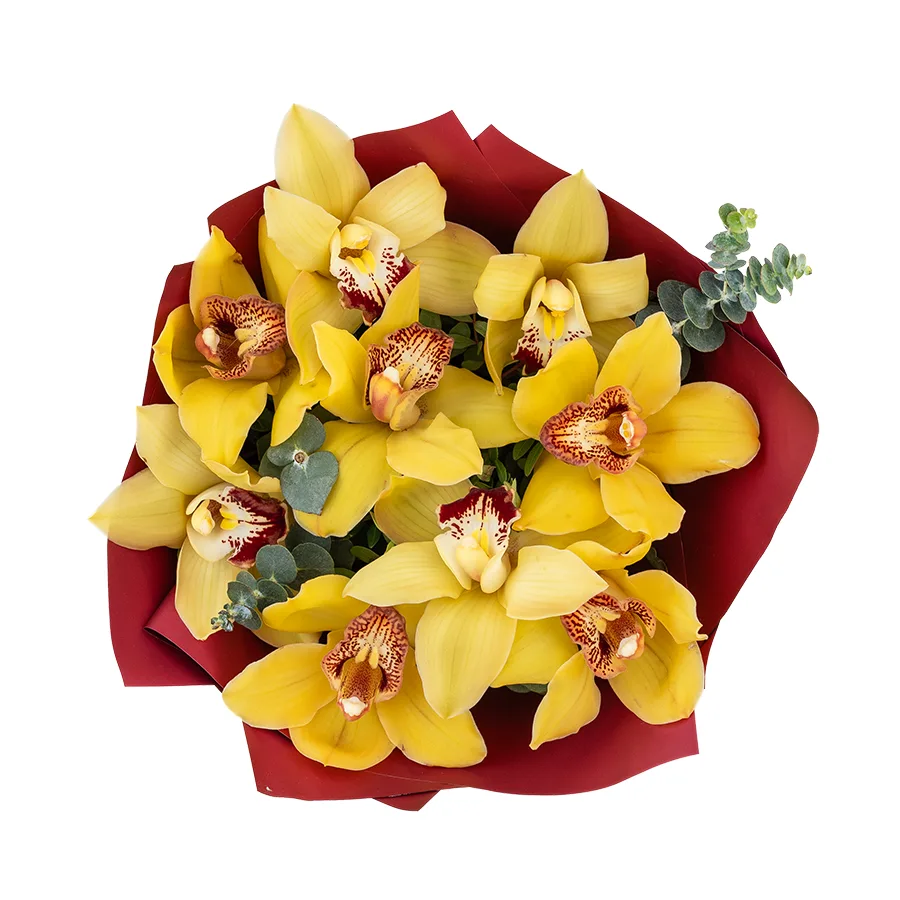 Букет из 9 желтых орхидей Цимбидиум (03072)