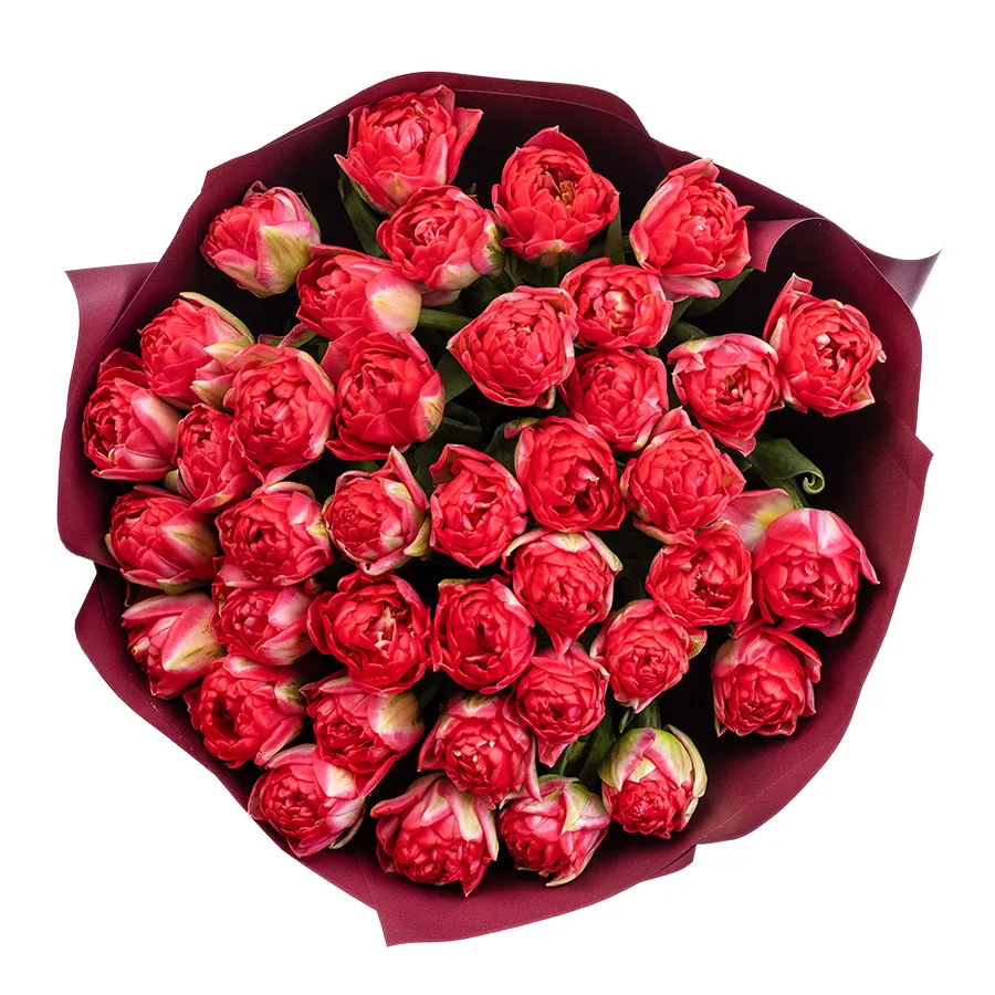 Букет из 39 красных махровых тюльпанов Памплона (02400)