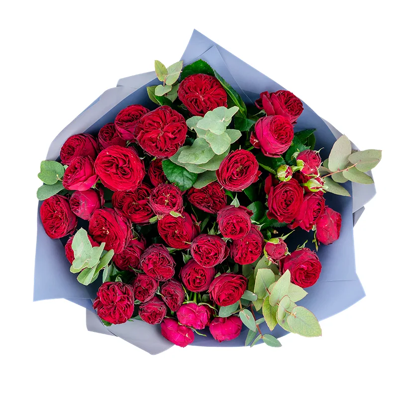Букет из 17 бордовых кустовых пионовидных роз Марун (01306)