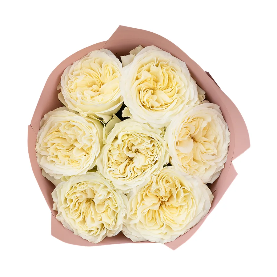 Букет из 7 белых пионовидных роз Майра Вайт (03031)