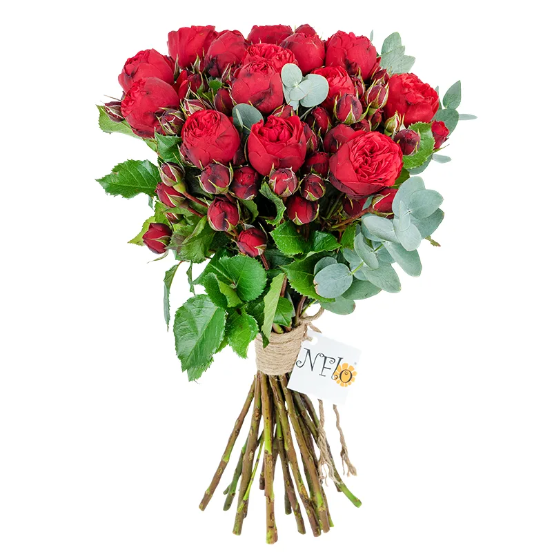 Букет из 19 красных пионовидных роз Пиано (01358)
