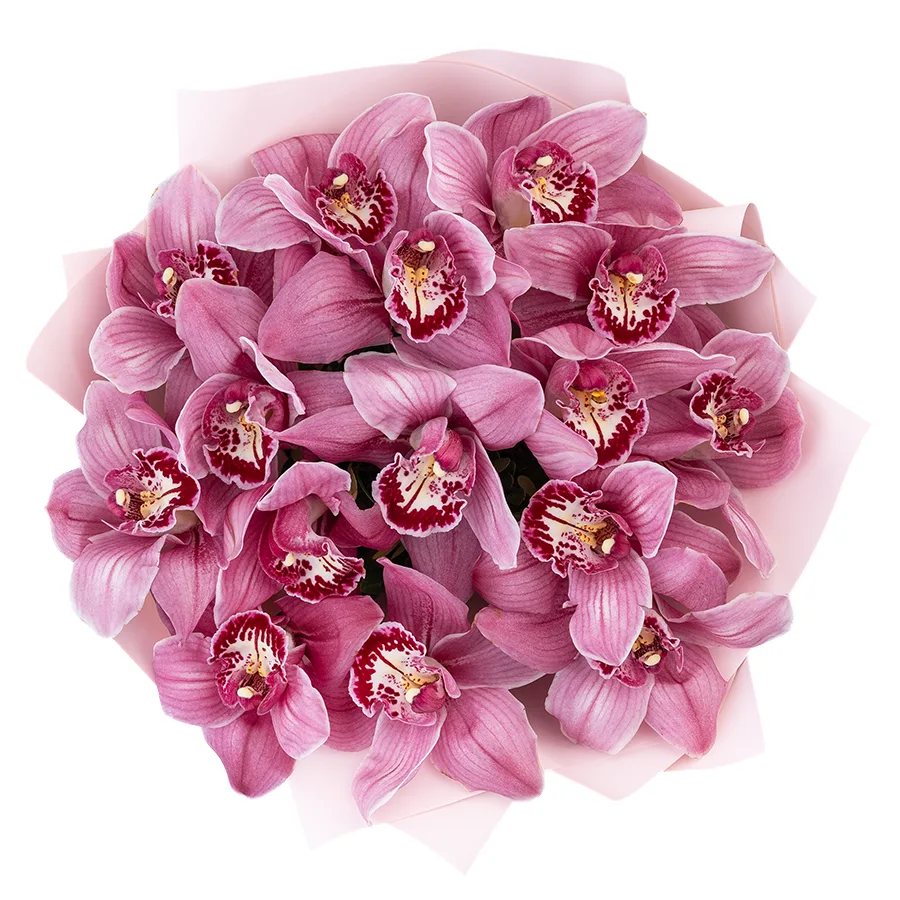 Букет из 15 розовых орхидей Цимбидиум (03059)