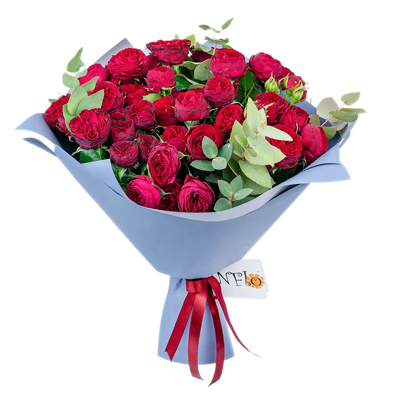 Букет из 17 бордовых кустовых пионовидных роз Марун (01306)