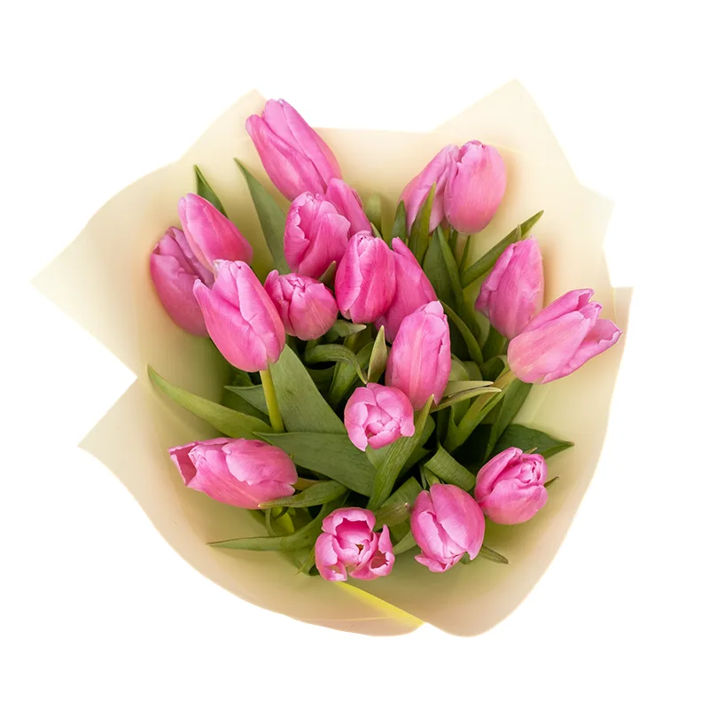 Букет из 19 розовых тюльпанов (01959)