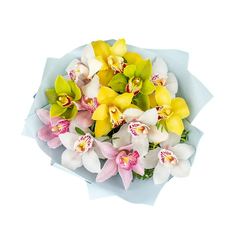 Букет из 13 разноцветных орхидей Цимбидиум (01204)