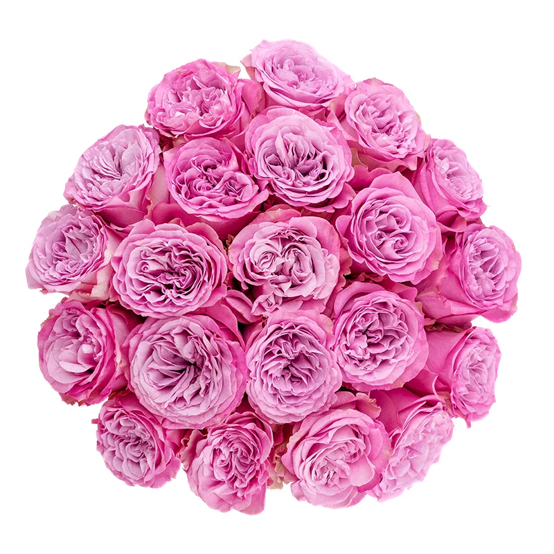 Букет из 21 сиреневой пионовидной розы Квинс Краун (01334)