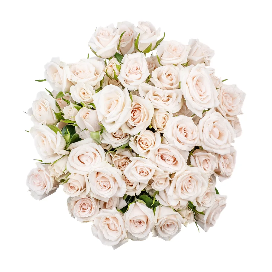 Букет из 11 бело-кремовых кустовых роз Роял Порцелина (02359)
