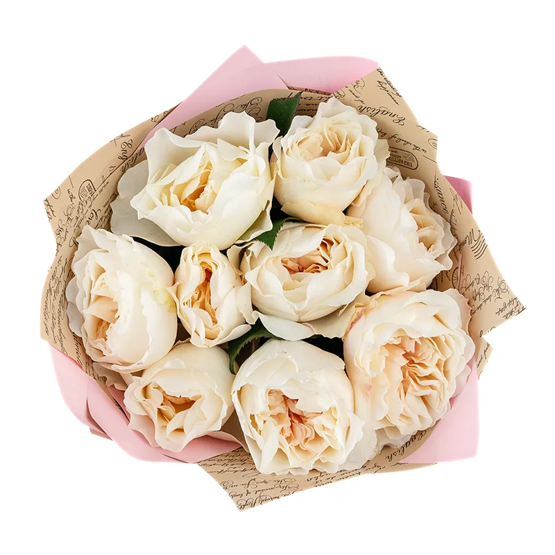 Букет из 9 белых садовых роз Дэвида Остина Евгения (01377)