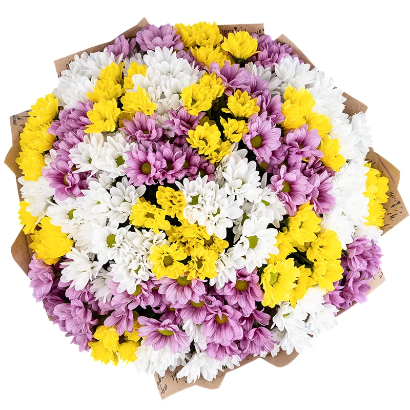Букет из 29 розовых, белых и жёлтых кустовых хризантем (01802)
