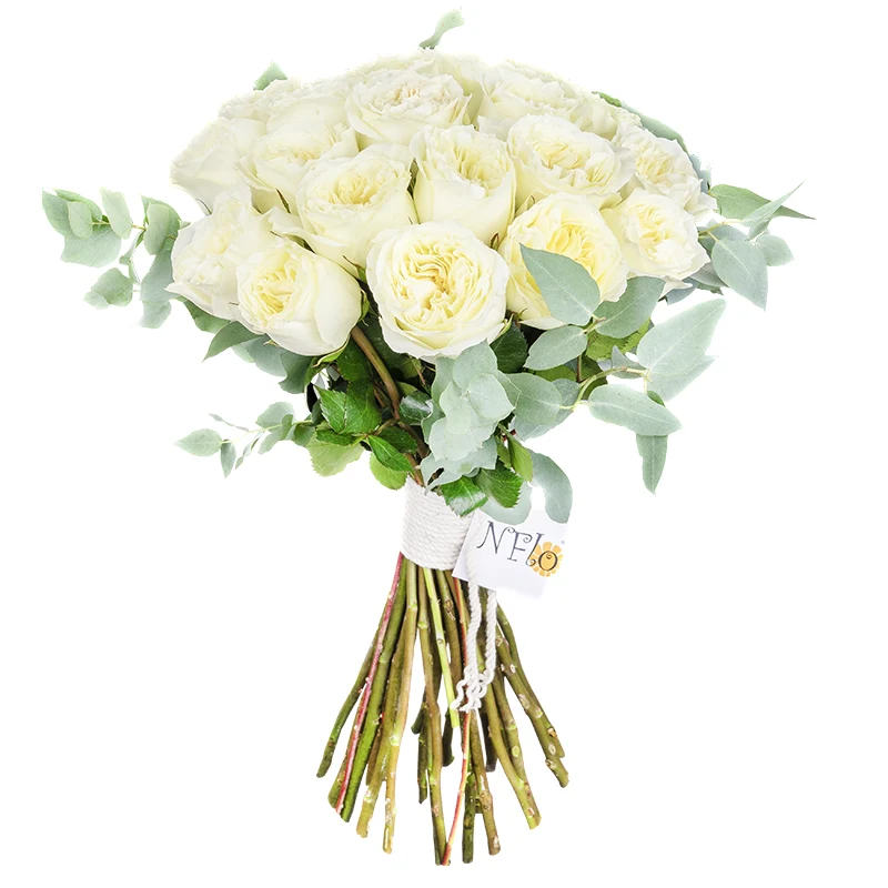 Букет из 21 белой садовой розы Майра (01111)