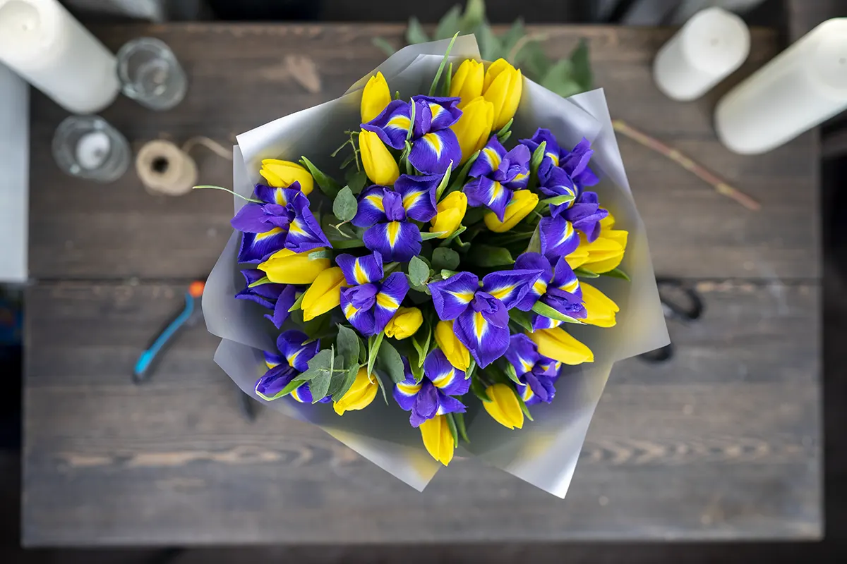 Букет из 13 синих ирисов и 20 жёлтых тюльпанов (01112)
