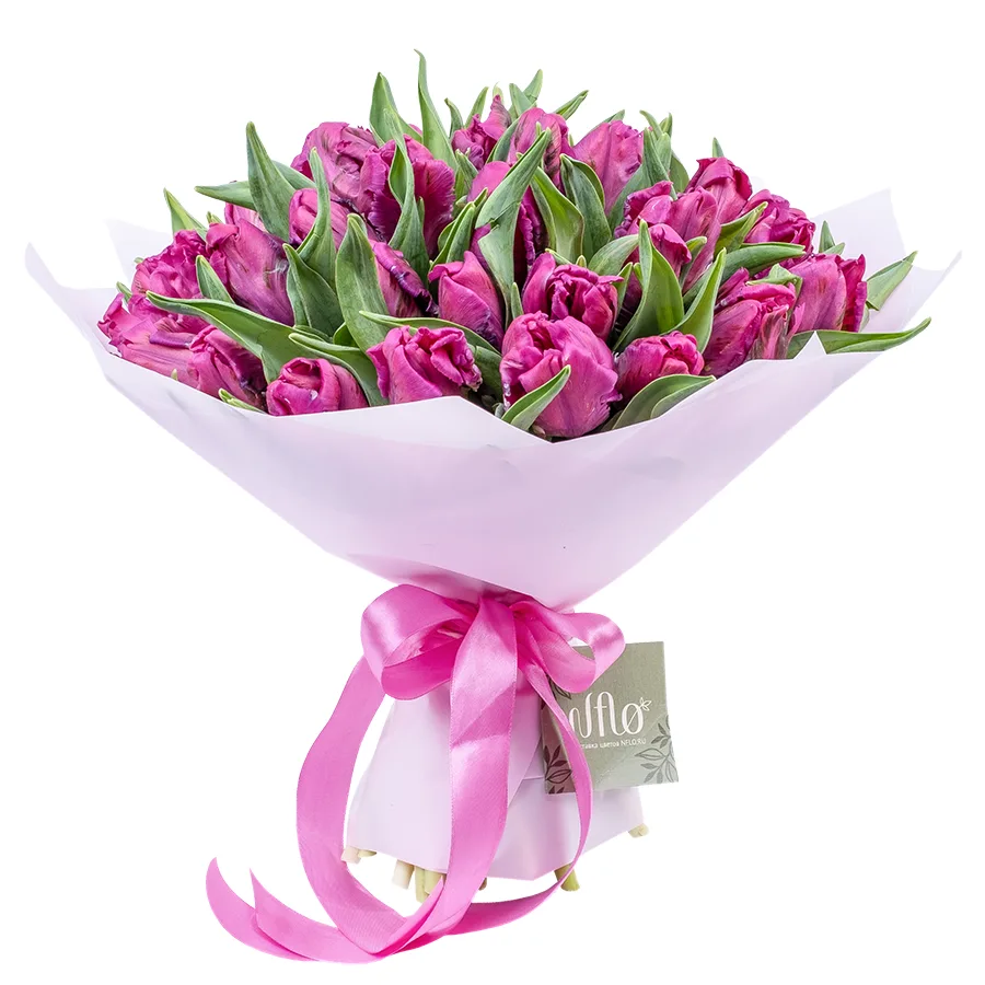 Букет из 35 фиолетовых попугайных тюльпанов Принц Пэррот (02179)