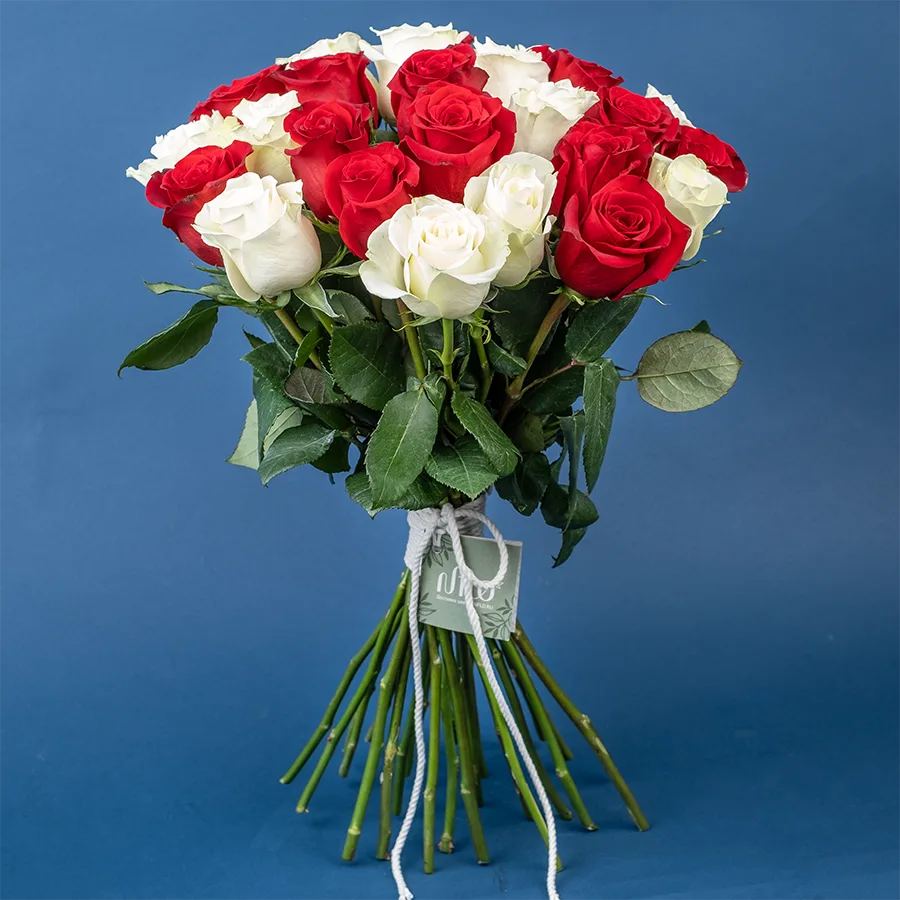Букет из 25 красных и белых роз Фридом и Мондиаль (02215)