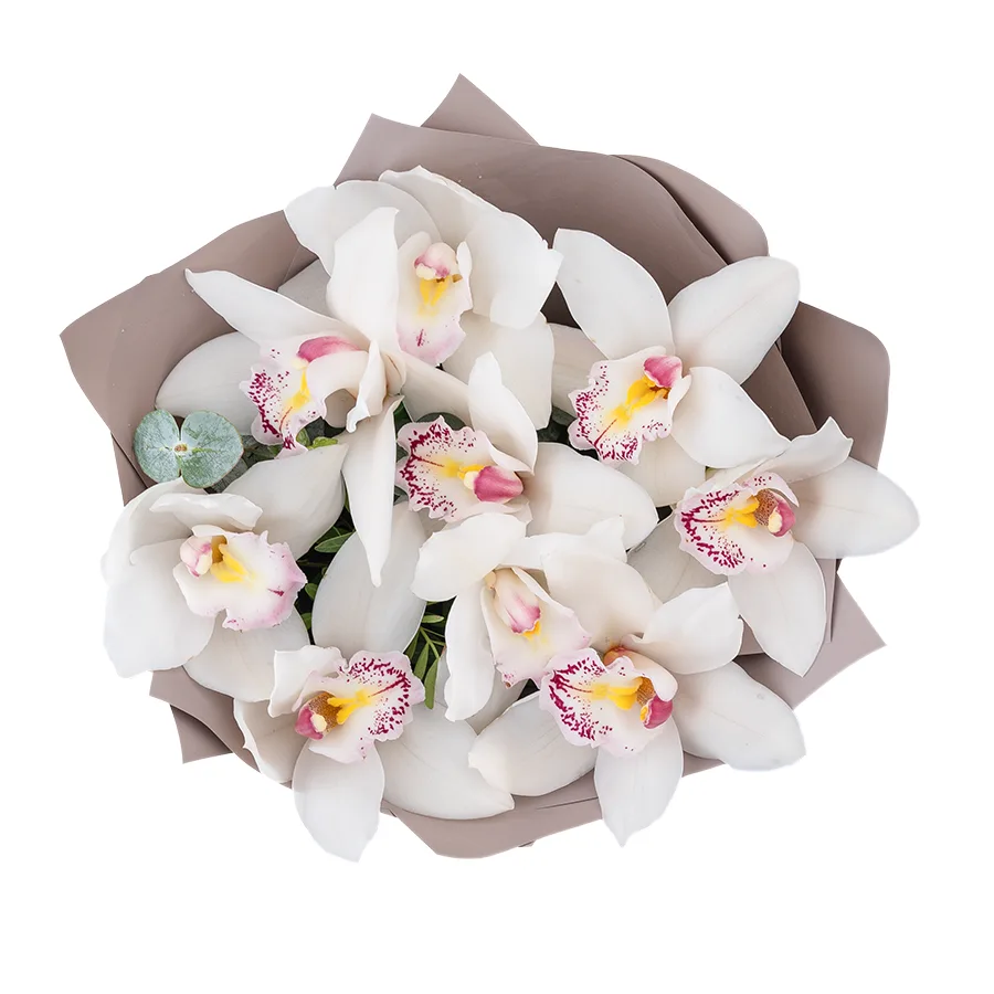 Букет из 9 белых орхидей Цимбидиум (03067)
