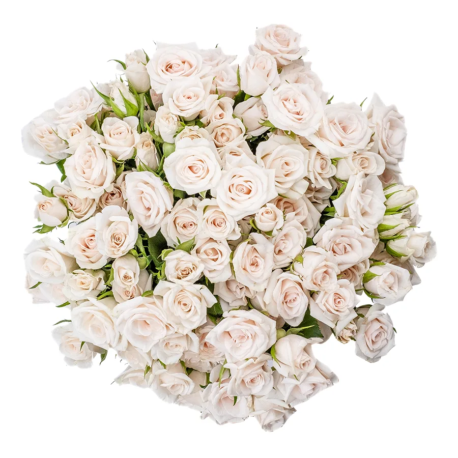 Букет из 19 бело-кремовых кустовых роз Роял Порцелина (02355)