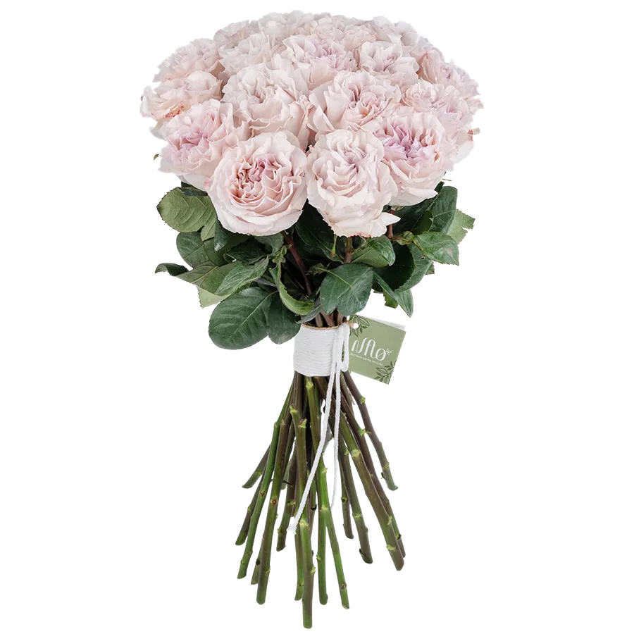 Букет из 21 садовой пыльно-сиреневой розы Паудер Пуф (03830)