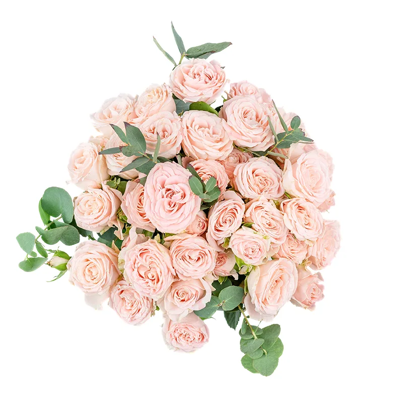 Букет из 9 розовых кустовых роз Бомбастик (01250)