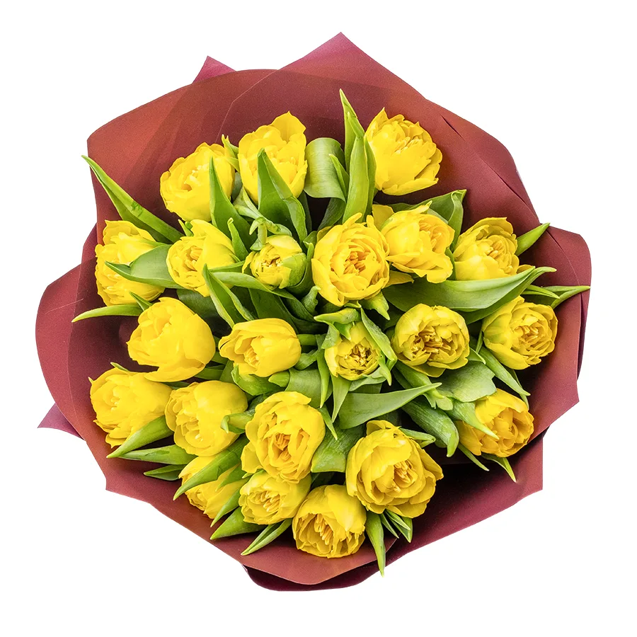 Букет из 23 желтых махровых тюльпанов Хоумран (02288)