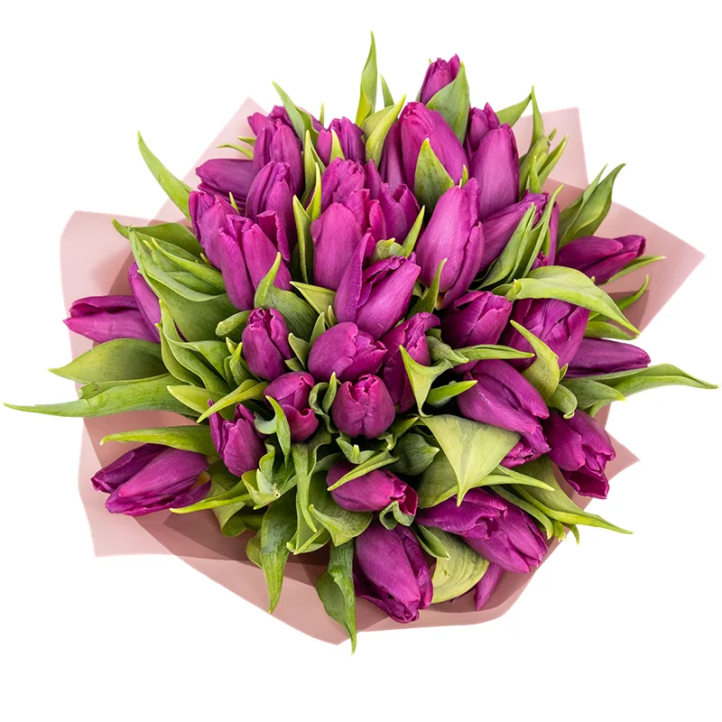Букет из 45 фиолетовых тюльпанов (01914)