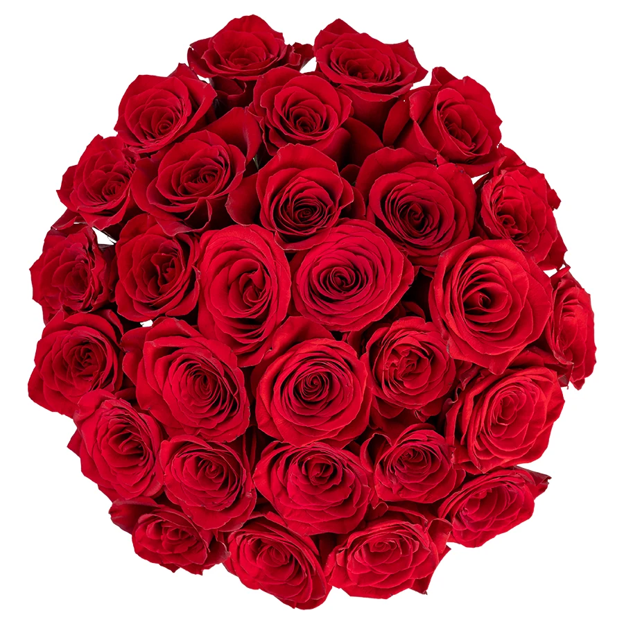Букет из 29 красных роз Фридом (00437)