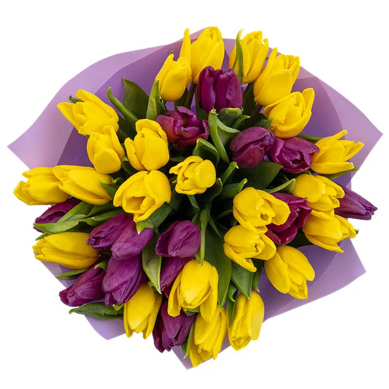 Букет из 35 желтых и фиолетовых тюльпанов (02046)