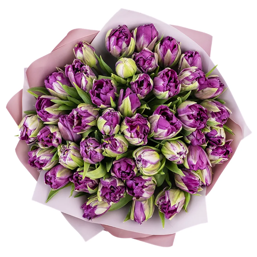 Букет из 45 фиолетовых пионовидных тюльпанов Пурпл Пеони (02312)