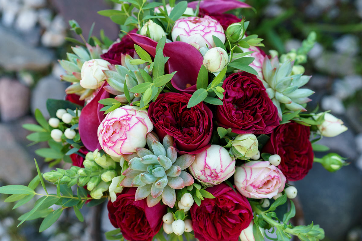 Букет из роз Дэвида Остина, кустовых роз и калл с эхевериями (01040)