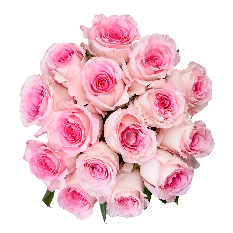 Букет из 15 бело-розовых роз Мандала (02664)