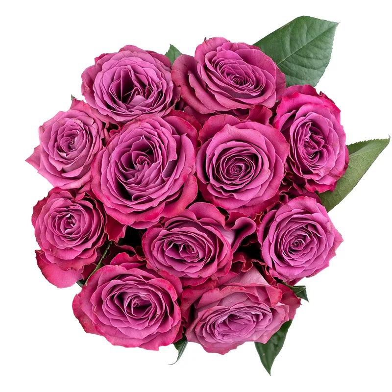 Букет из 11 фиолетовых садовых роз Прешиус Моментс (01825)