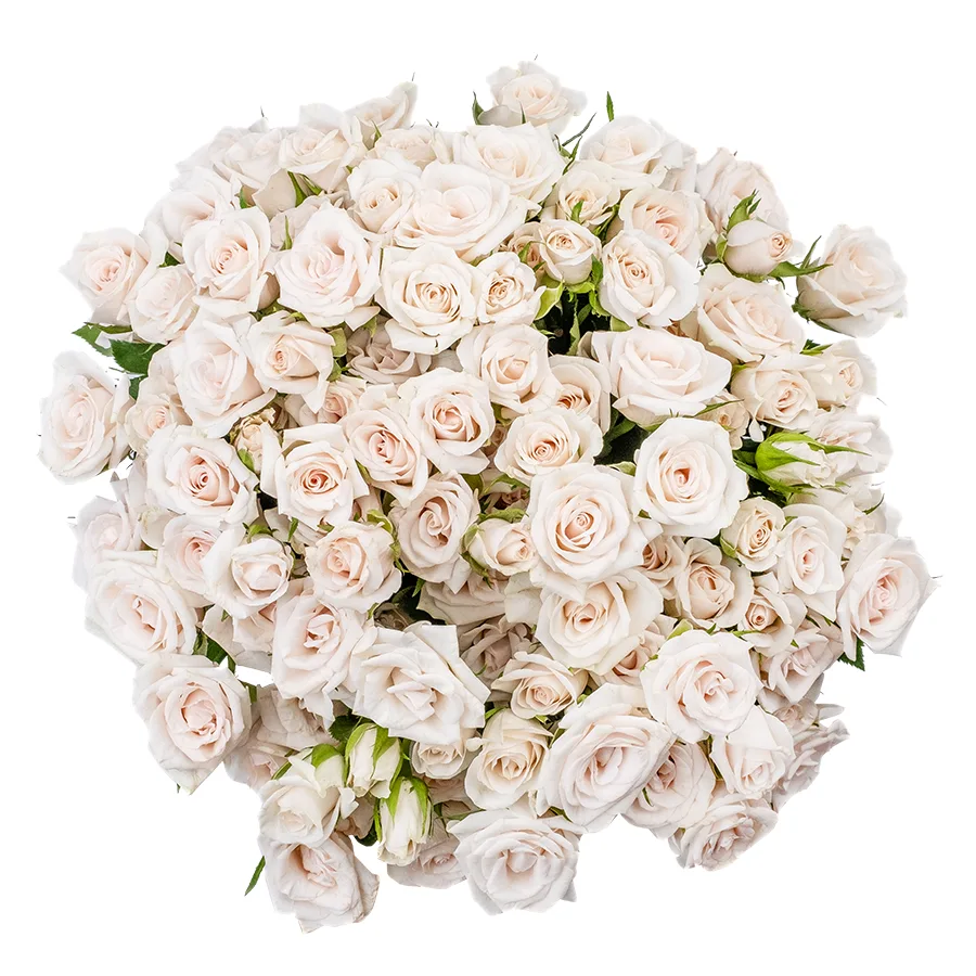 Букет из 21 бело-кремовой кустовой розы Роял Порцелина (02354)
