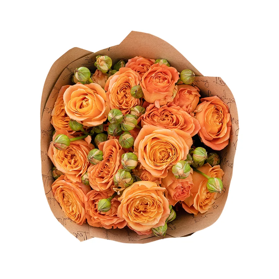 Букет из 5 абрикосовых кустовых пионовидных роз Априкот Лейс (03000)