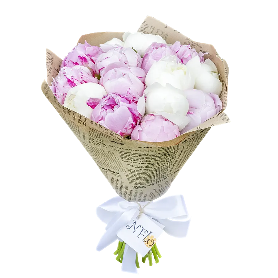 Букет из 15 розовых и белых пионов (01036)
