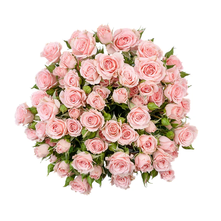 Букет из 9 светло-розовых кустовых роз Лидия (02592)