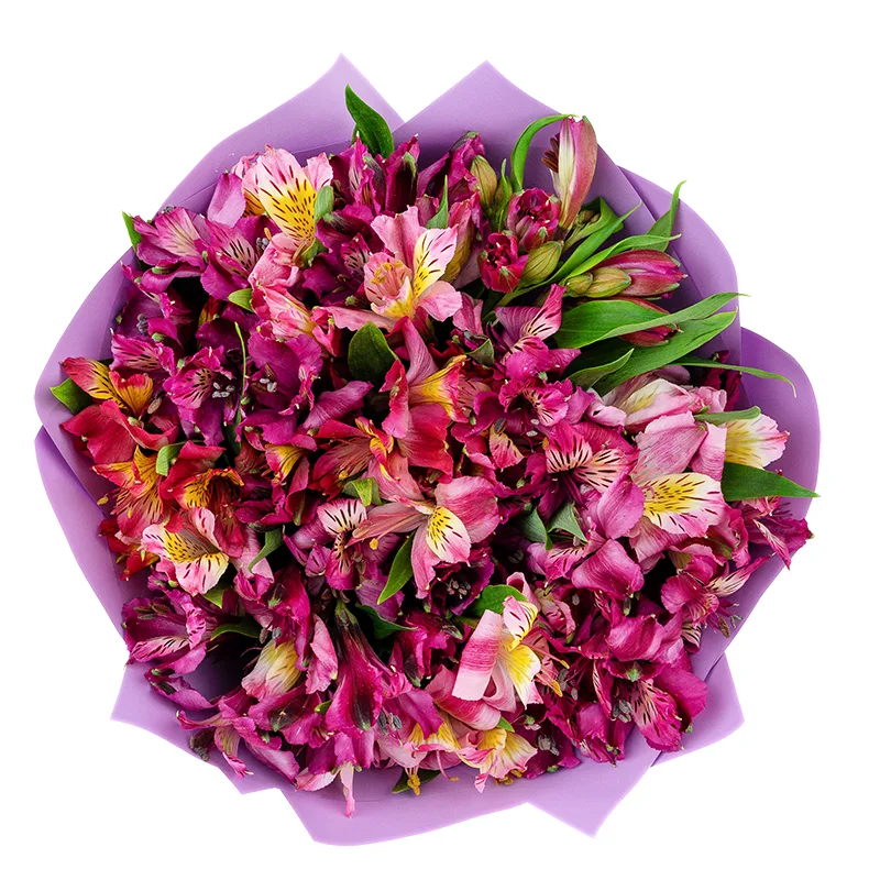 Букет из 19 фиолетовых, малиновых и розовых альстромерий (01455)