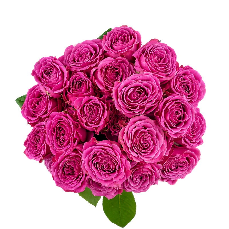 Букет из 9 малиновых кустовых роз Классик Сенсейшн (01356)